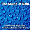 睡眠研究所 - 雨声白噪音   自然雨声