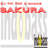 Tik Tok、Mamae - Sakura (Radio Mix)