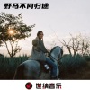 DJ野马、安伦、廖庆林、DJ马公子 - C-J-Y-Z-M (Remix)