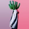 PLÜM - Cactus Dream