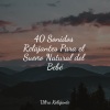 Canciones Para Niños、Escola de Meditação、Meditar Profundamente - Horizontes Resplandecientes