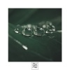 Blissful Rain《Blissful Rainfall》[MP3/LRC]