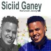 Somali Beats、Siciid Ganey - Naruuradii Jaceylka (feat. Siciid Ganey)