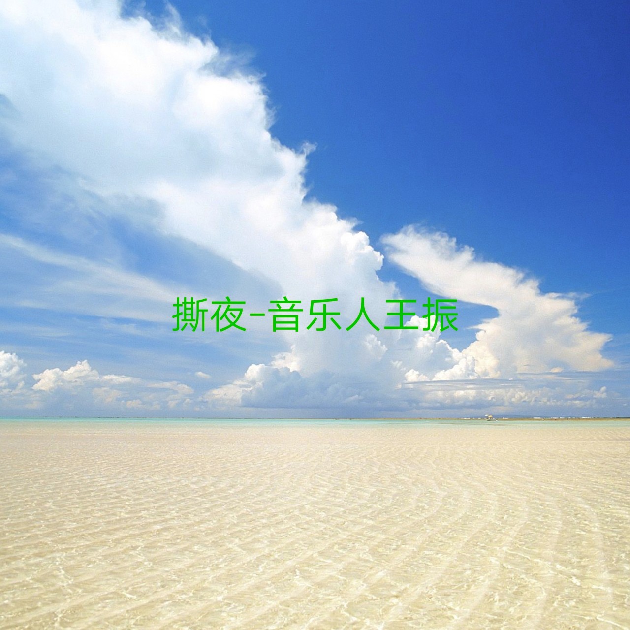 音乐人小强 - 撕夜
