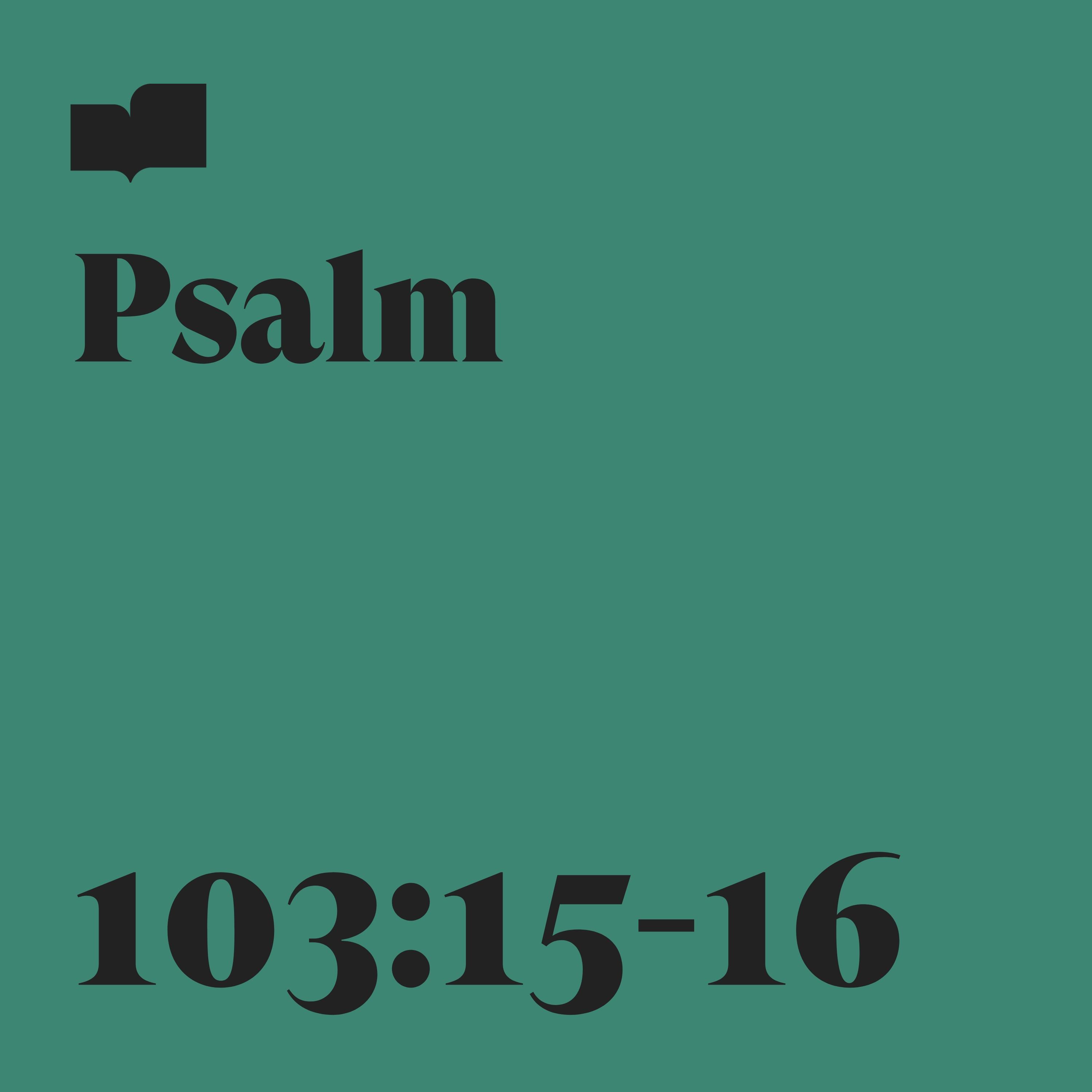 Verses、Brad Kilman - Psalm 103:15-16 (feat. Brad Kilman)