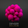 DenSer - Disclosure (Original Mix)