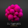 Dj S@N4es - Criminal (Original Mix)