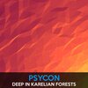Psycon - Deep in Karelian Forests (Original Mix)