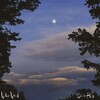 Lazy Tree Records、Kiko Kaid - Coin Flip