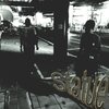 Chris Carr、Enlia - Statue (feat. Enlia)