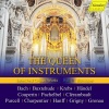 Kay Johannsen - Toccata & Fugue in D Minor, BWV 565: I. Toccata