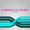 DJ Wilson - Bass Need (Original Mix)