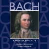 Nikolaus Harnoncourt、Tölzer Knabenchor、concentus musicus wien - No. 1, Chor. 