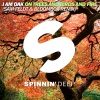I Am Oak - On Trees And Birds And Fire (Sam Feldt & Bloombox Remix Edit)