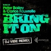 Carlos Fauvrelle、Peter Bailey - Bring It On (DJ Vibe Remix)
