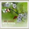 浅笑安然 - 梨花又开放