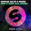Gregor Salto、Wiwek、Stush - How It Goes (feat. Stush)(Extended Mix)