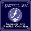 Grateful Dead《Viola Lee Blues (Live in San Francisco, 1966)》[MP3/LRC]