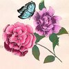 Black Canvas - Camellia
