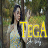Lala Widy - Tega