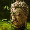 Buddha's Flute - One Afternoon