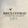 Brice Conrad - A tort ou à raison (Versionélectro)