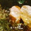 尘韵清魂の杂货铺 - 苍兰小风
