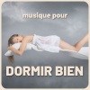 Hang Drum Musique - Musique pour dormir bien