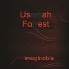 Usamah Forrest - Above and Beyond