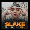 Slake - PERRV (Explicit)