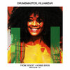 DrumsMaster、Villamizar - Horns Birds