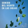 Reiki Armonía - Sonido de Viento en las Hojas, Pt. 01