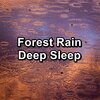 Rain Sounds for Sleep、Deep Sleep Relaxation、Music for Sleep - Cozy Rain on a Tin Roof To Repeat for 10 Hours