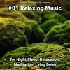 Relaxing Music by Terry Woodbead、Relaxing Music、Yoga - Relaxing Music to Study To