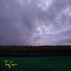 Tontine - Time and Place (Goodbye)