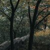 Spa Relaxation、Sleep Tight、Lucid Dreaming World-Collective Unconscious Mind - Anxiety Removal