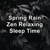 Sounds of Nature White Noise Sound Effects、Nature Spirit、Nature Recordings - Distant Rain For Peace with Sleeping Music