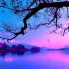 Aviciis Ghost - Hidden Tropical Cabana