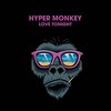 Hyper Monkey - Catch You