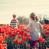 Nursery Rhymes Club、Nursery Rhymes、Nursery Rhyme Instrumentals - Until Tomorrow