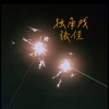 张佳 - 独角戏