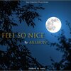 Akshon - Feel so Nice