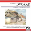 Stuttgart Chamber Orchestra - Allegro com brio
