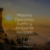 Meditación、Canciones de Cuna Relax、Lluvia PQ《Despertar》[MP3/LRC]