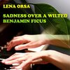 Lena Orsa - Sadness Over a Wilted Benjamin Ficus