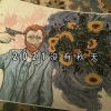 HEXS - The Box (潮音必备)