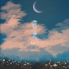 赖湘文 - 逆光