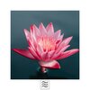 Noise and Nature - Relaxing Hum Sound