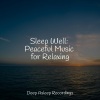 Entspannungsmusik、Meditacao Clube、Calming Sounds - Overflowing