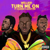 WellKid、Olamide、Jamo Pyper - Turn Me On (Explicit)